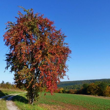 Blumenschein-Ferienwohnung Unne Kirchzell Екстер'єр фото