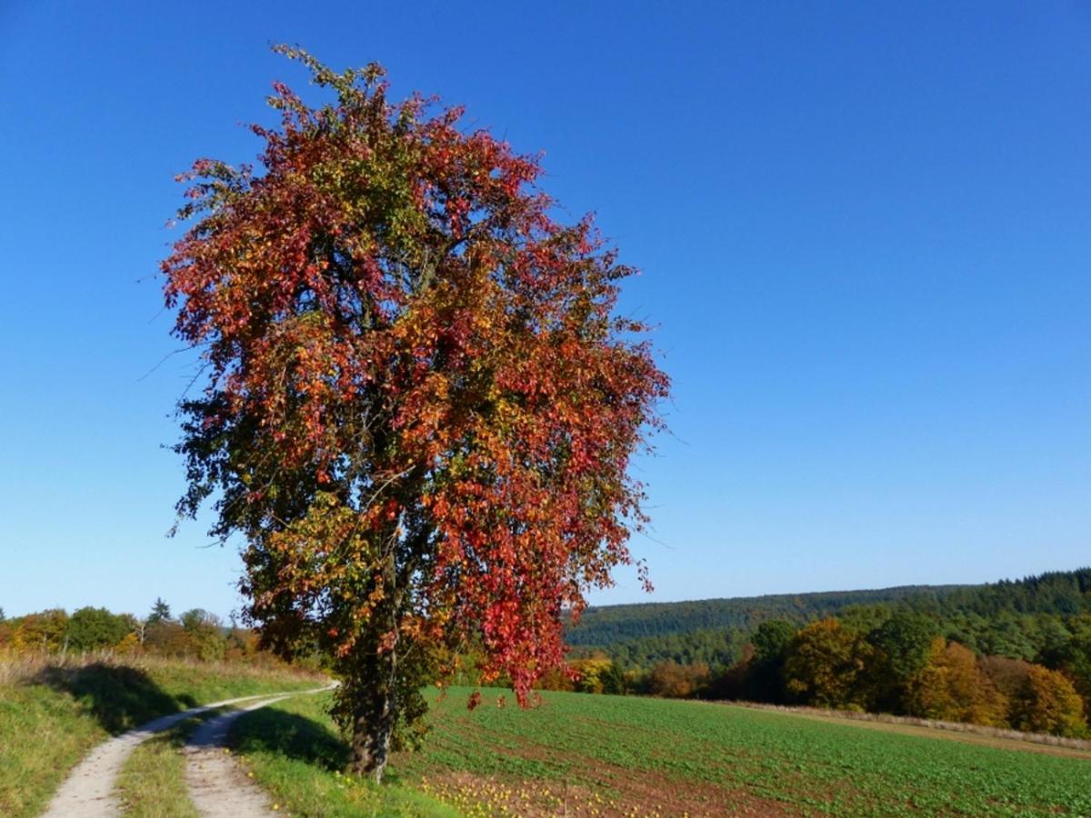 Blumenschein-Ferienwohnung Unne Kirchzell Екстер'єр фото