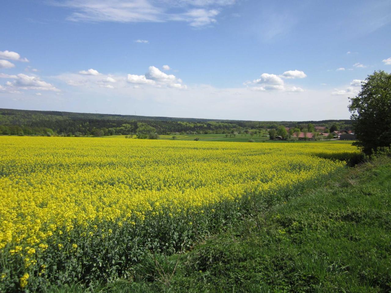 Blumenschein-Ferienwohnung Unne Kirchzell Екстер'єр фото