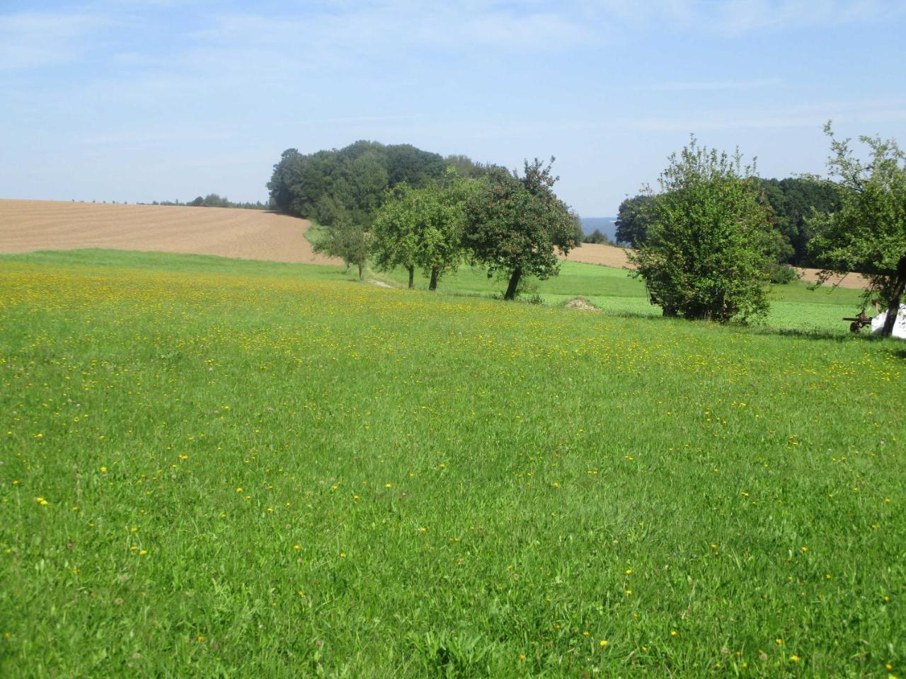 Blumenschein-Ferienwohnung Unne Kirchzell Екстер'єр фото